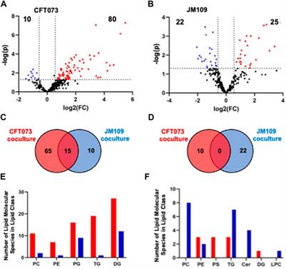 E. coli strain-dependent lipid alterations in cocultures with endothelial cells and neutrophils modeling sepsis